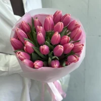 31 bright pink tulips