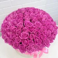 XXL box of 101 pink roses